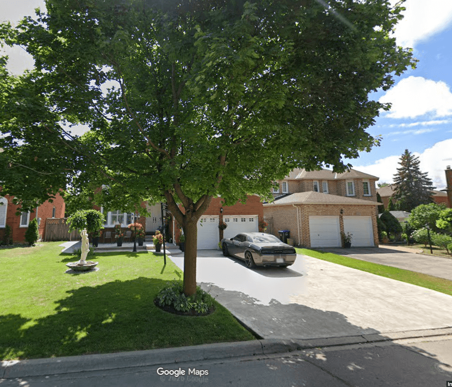House photo before cleanup — trees and clutter in frame